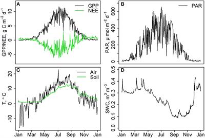 Analysis of the NSC Storage Dynamics in Tree Organs Reveals the Allocation to Belowground Symbionts in the Framework of Whole Tree Carbon Balance